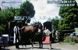 f:id:sanahanna:20101010223532j:image