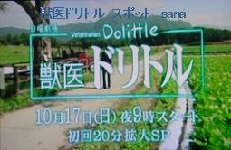 f:id:sanahanna:20101010223720j:image