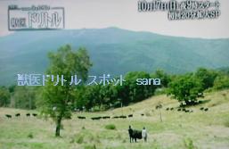 f:id:sanahanna:20101010223729j:image