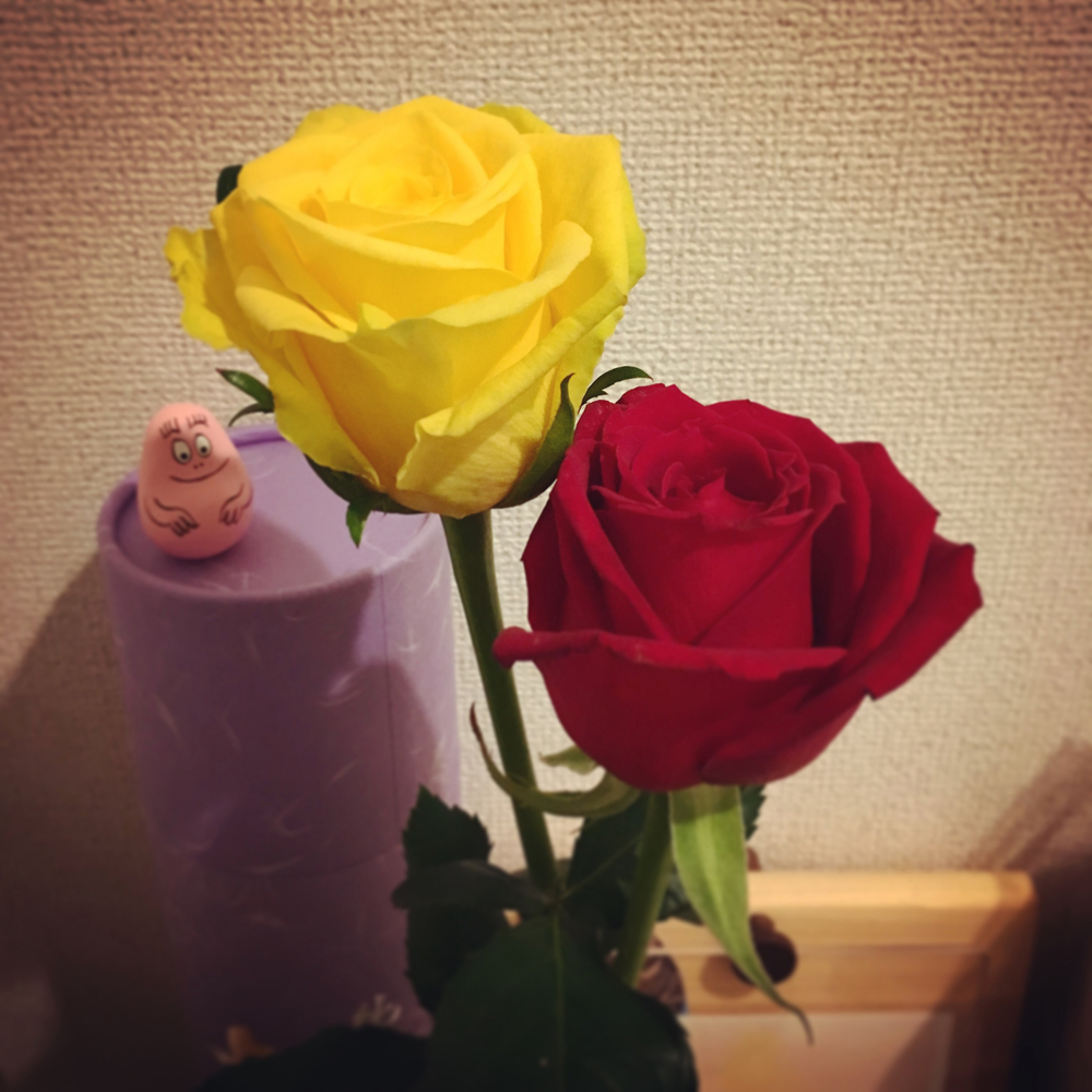 f:id:sanamiaki:20181224103908j:plain