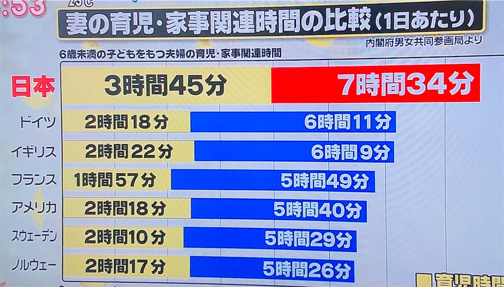 子育てのモチベーション 躁鬱病妻の仕事と子育てwith猫