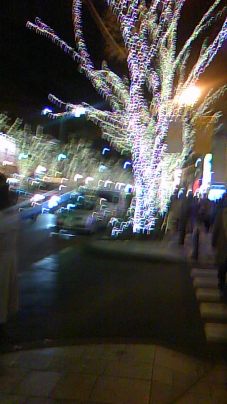 f:id:sanaron:20101210173220j:image