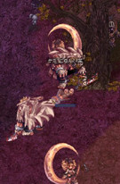 f:id:sanaru1215:20060507160454j:image