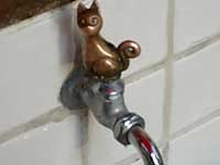 f:id:sanaru1215:20061202151302j:image