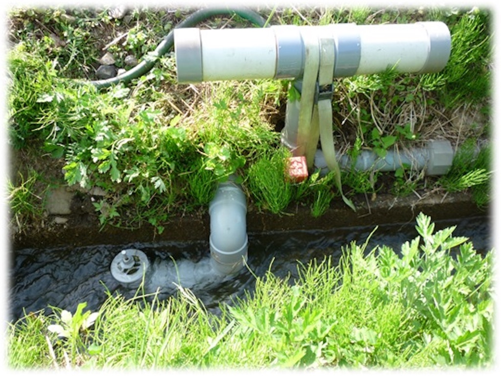 f:id:sanbikitoossan:20180614214910j:image