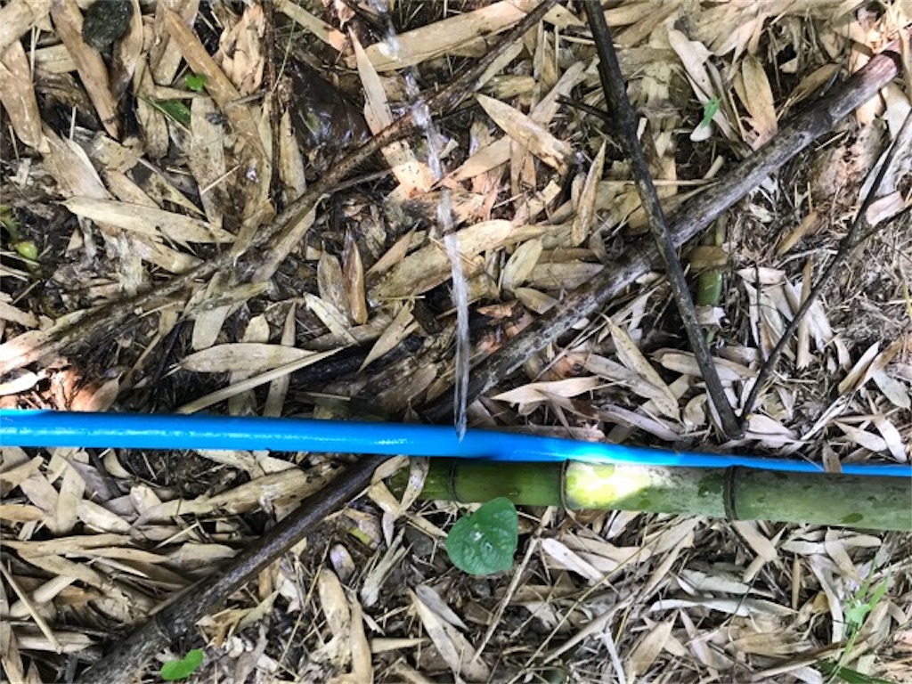 f:id:sanbikitoossan:20180717120610j:image