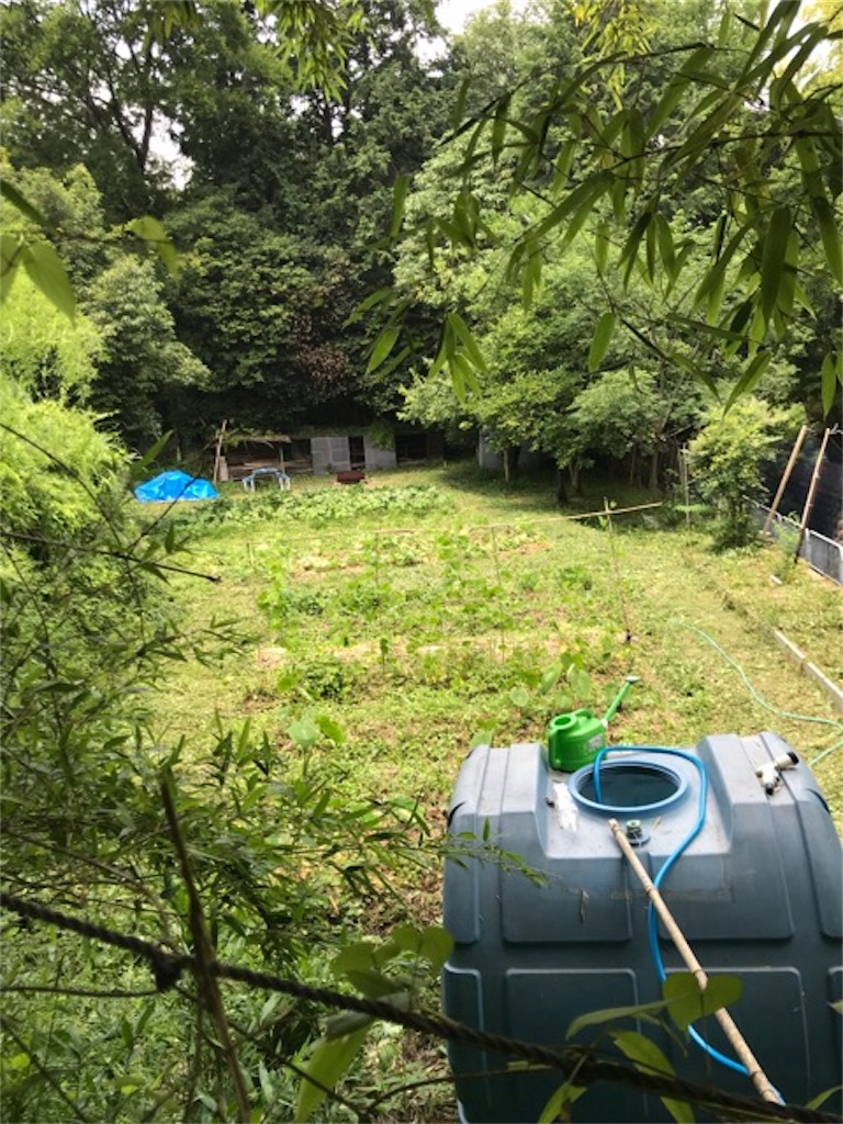 f:id:sanbikitoossan:20180717121315j:image