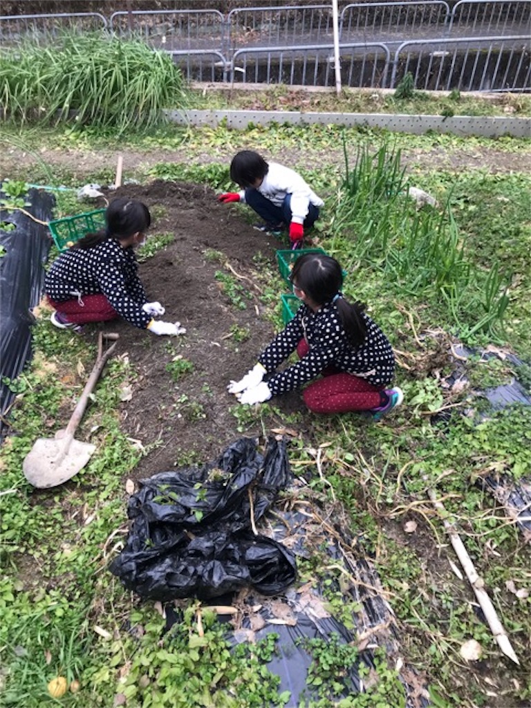 f:id:sanbikitoossan:20190203152231j:image