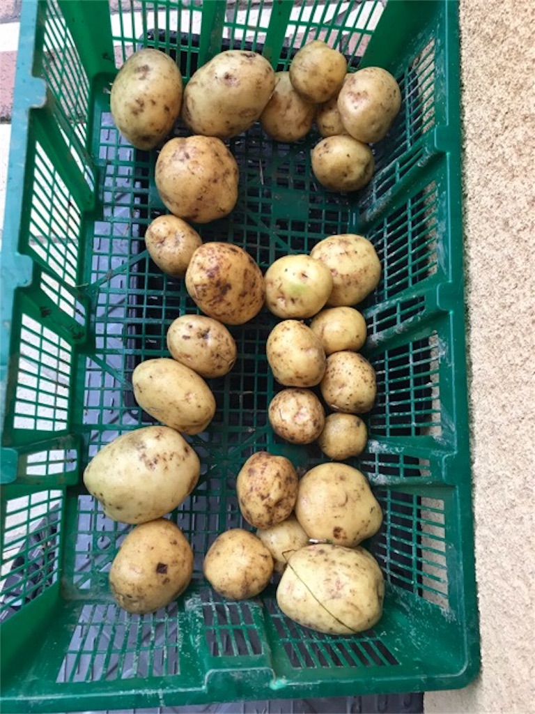 f:id:sanbikitoossan:20190203152605j:image