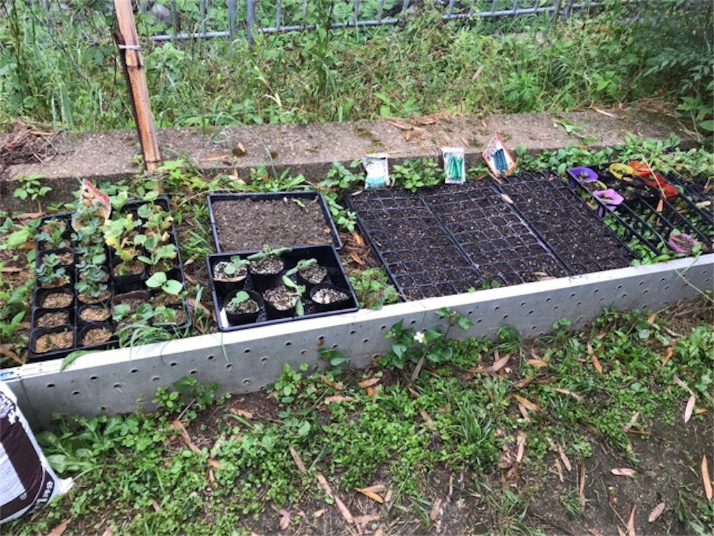 f:id:sanbikitoossan:20190602080147j:image