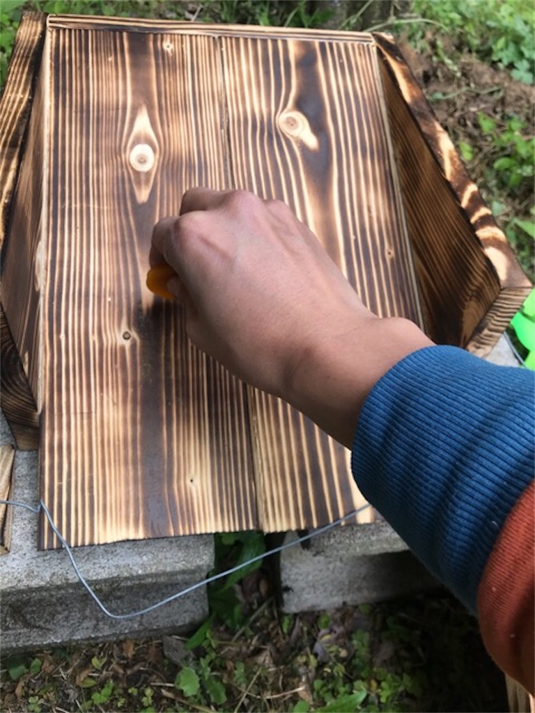 f:id:sanbikitoossan:20200429113402j:image