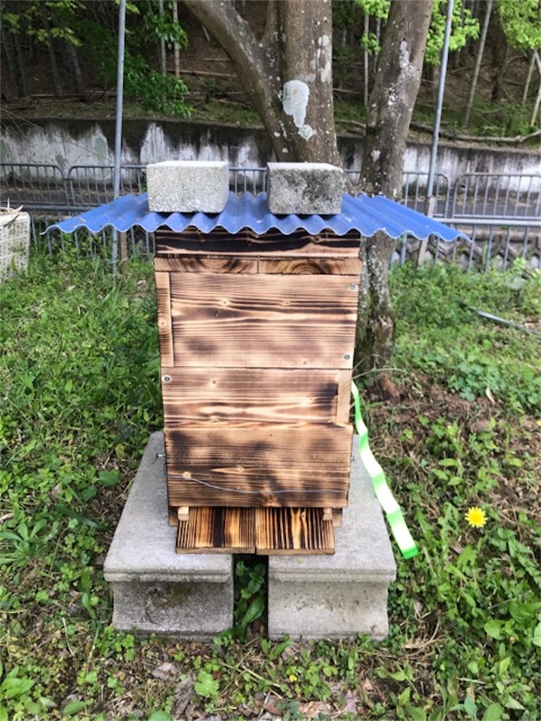 f:id:sanbikitoossan:20200429130008j:image