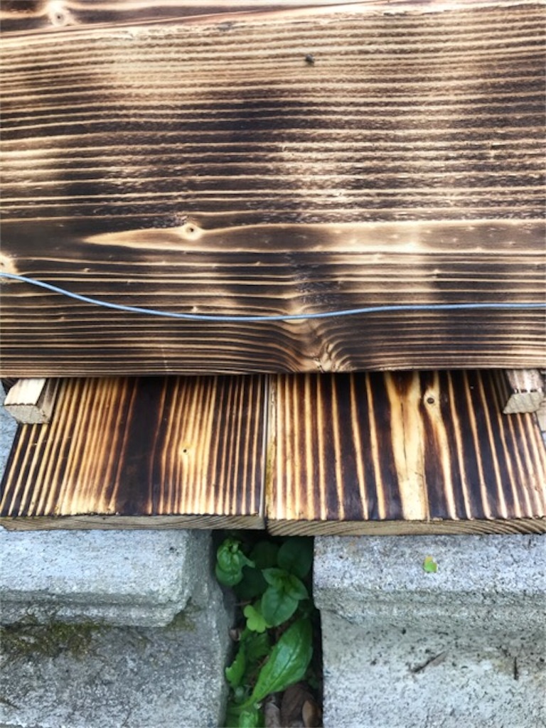 f:id:sanbikitoossan:20200429130038j:image