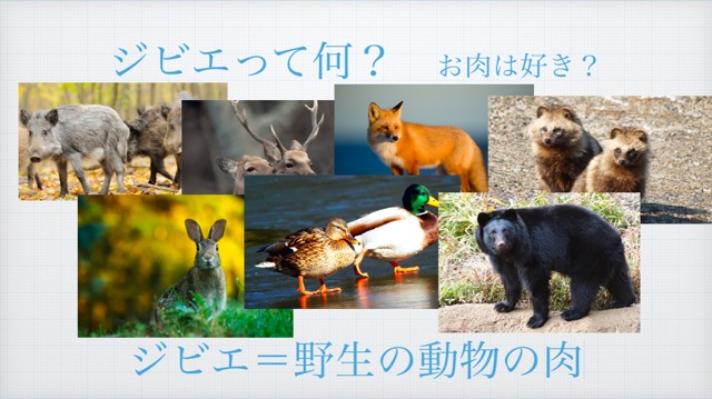 f:id:sanbikitoossan:20210131144057j:plain