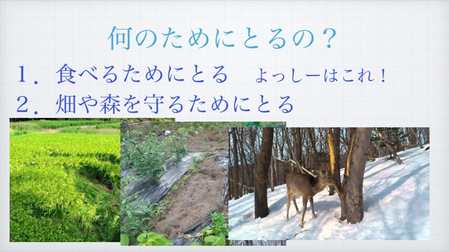 f:id:sanbikitoossan:20210131144105j:plain