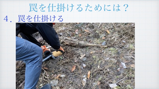 f:id:sanbikitoossan:20210131144123j:plain