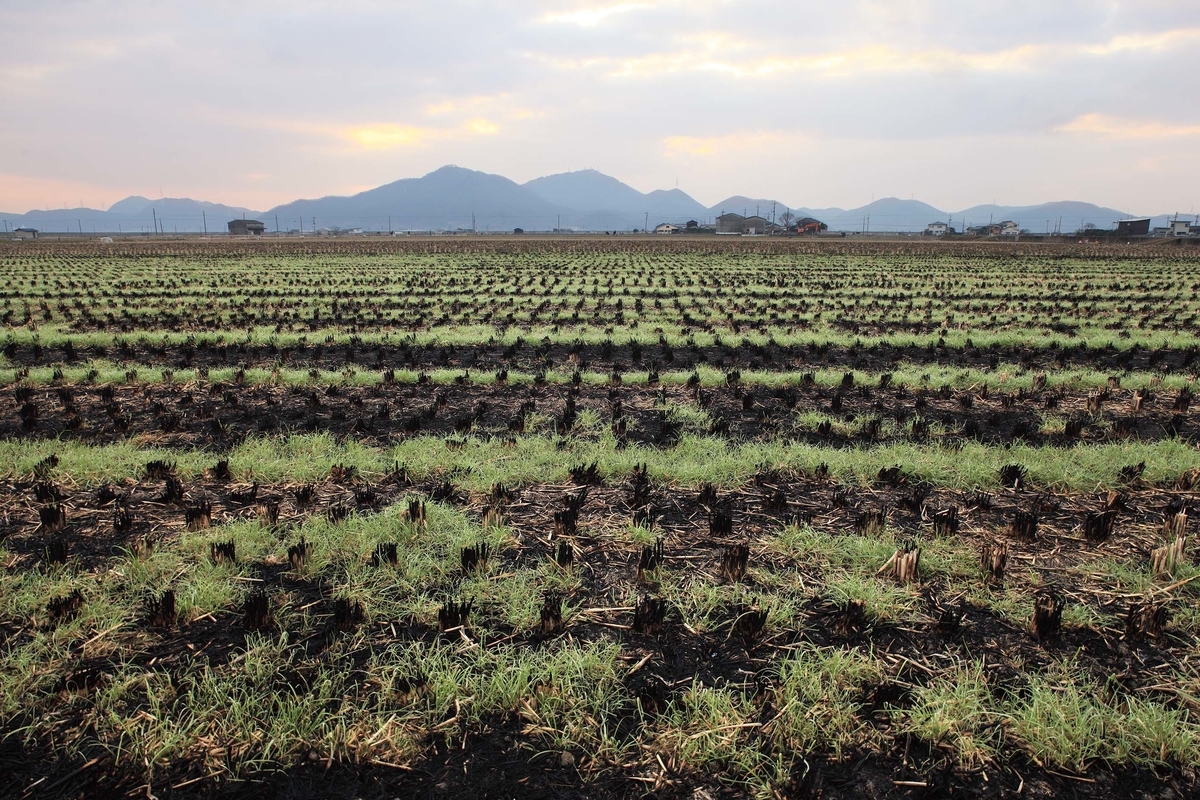 f:id:sanchan60:20200103093023j:plain