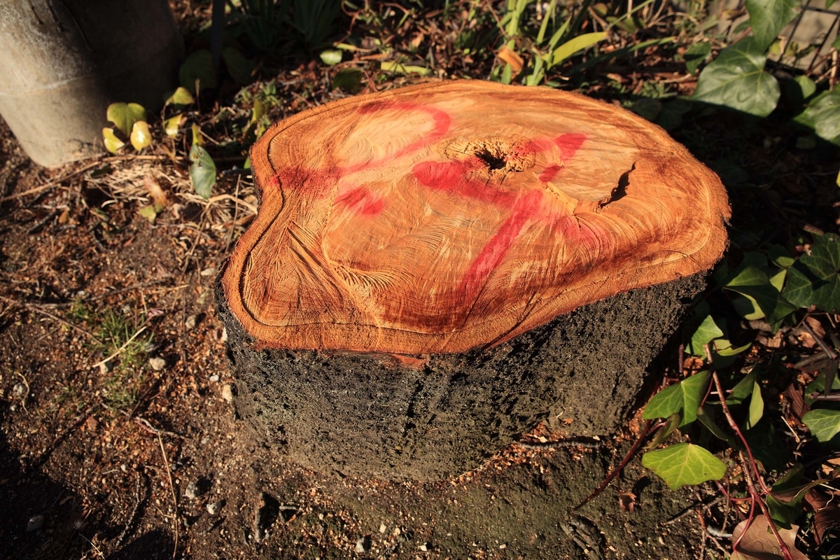 f:id:sanchan60:20200211214002j:plain