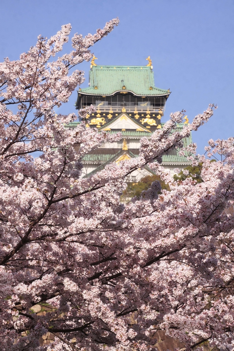 大阪城公園とは 地理の人気 最新記事を集めました はてな 大阪城公園とは 地理の人気 最新記事を集めました はてな