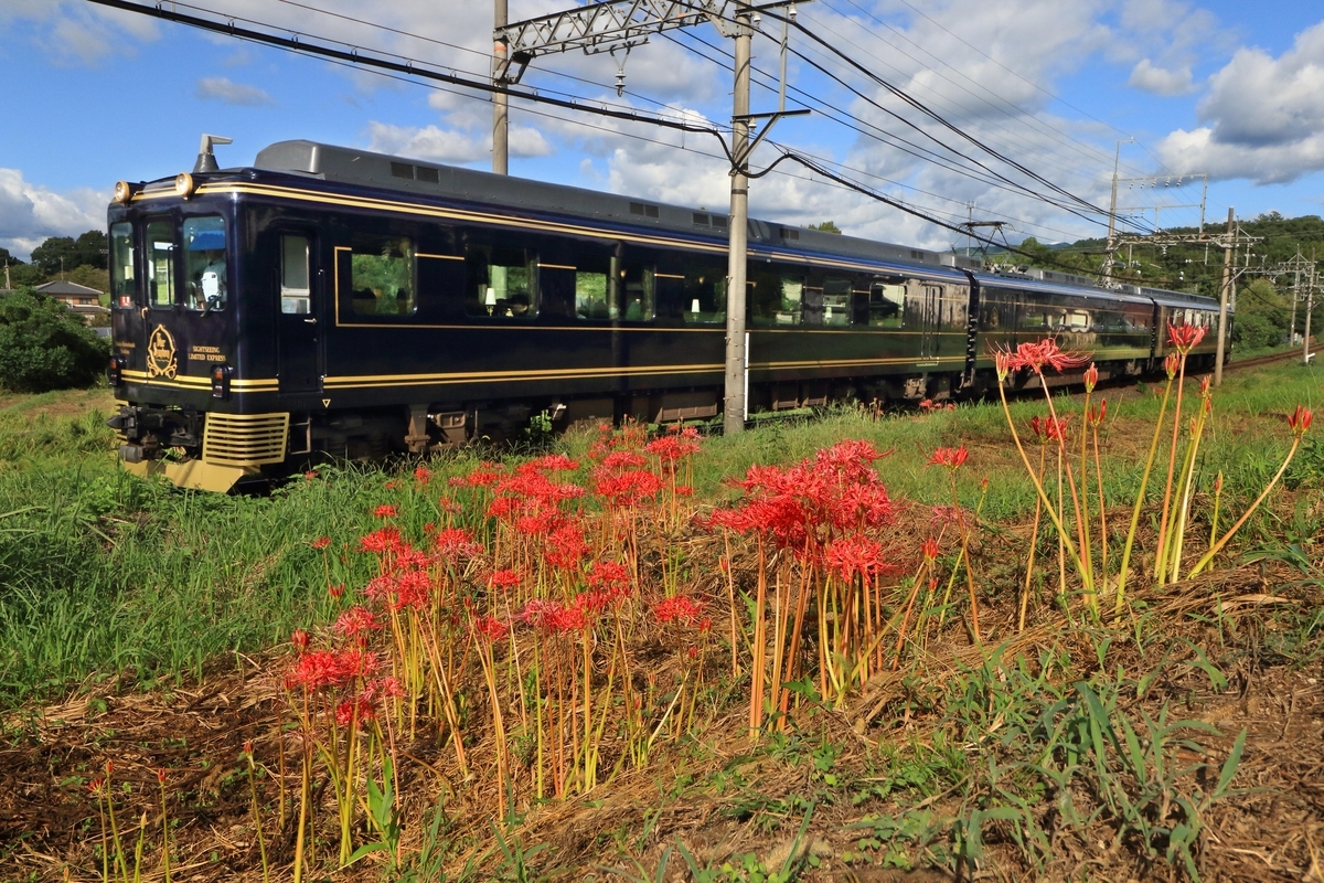棚田から彼岸花に転進 - 還暦のカメラ小僧・三好学生のフォトライフin大阪