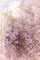 20170517224704