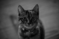20171230214104
