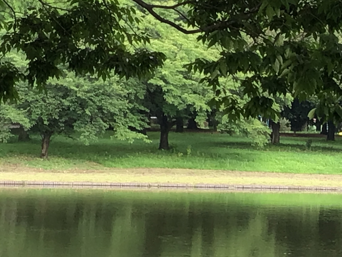 f:id:sanchan_neo:20190723220640j:plain