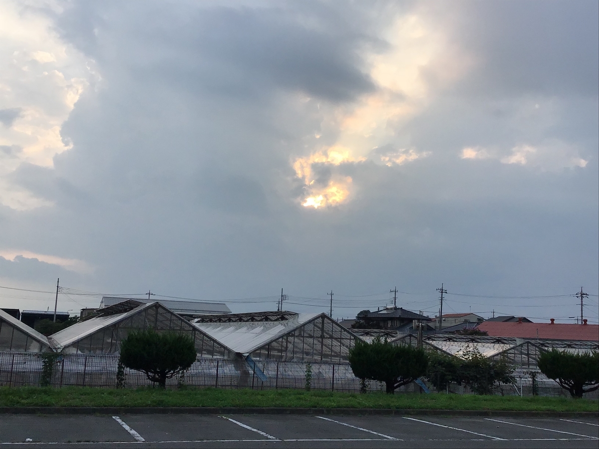 f:id:sanchan_neo:20190723220706j:plain