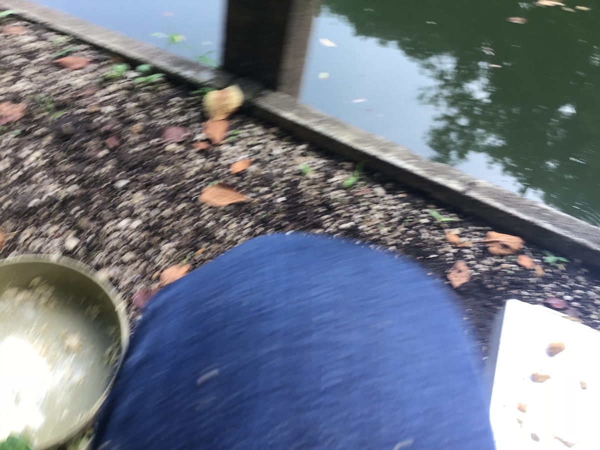 f:id:sanchan_neo:20190730215400j:plain f:id:sanchan_neo:20190730215400j:plain