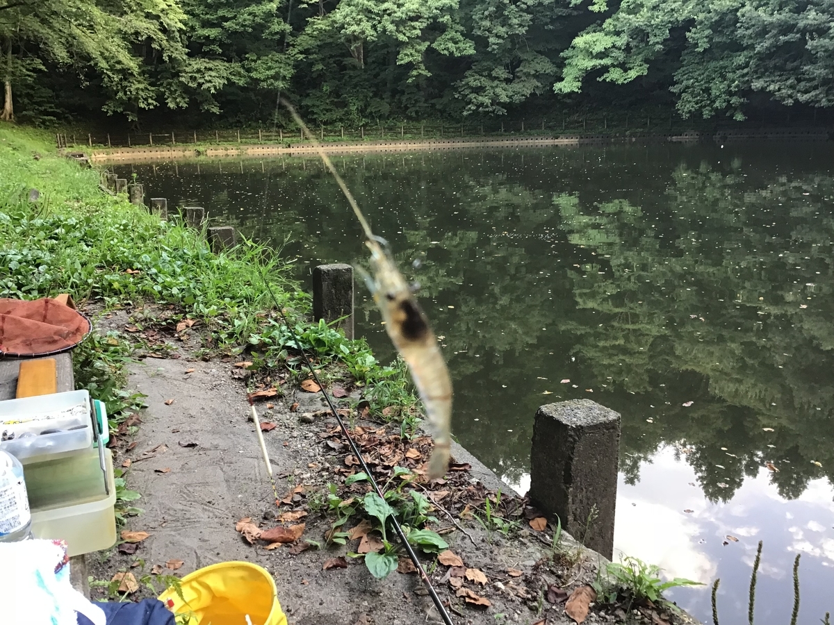 f:id:sanchan_neo:20190806221216j:plain f:id:sanchan_neo:20190806221216j:plain