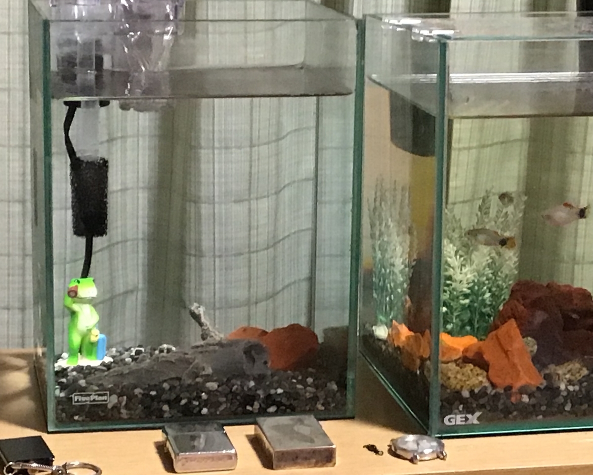f:id:sanchan_neo:20191007191855j:plain