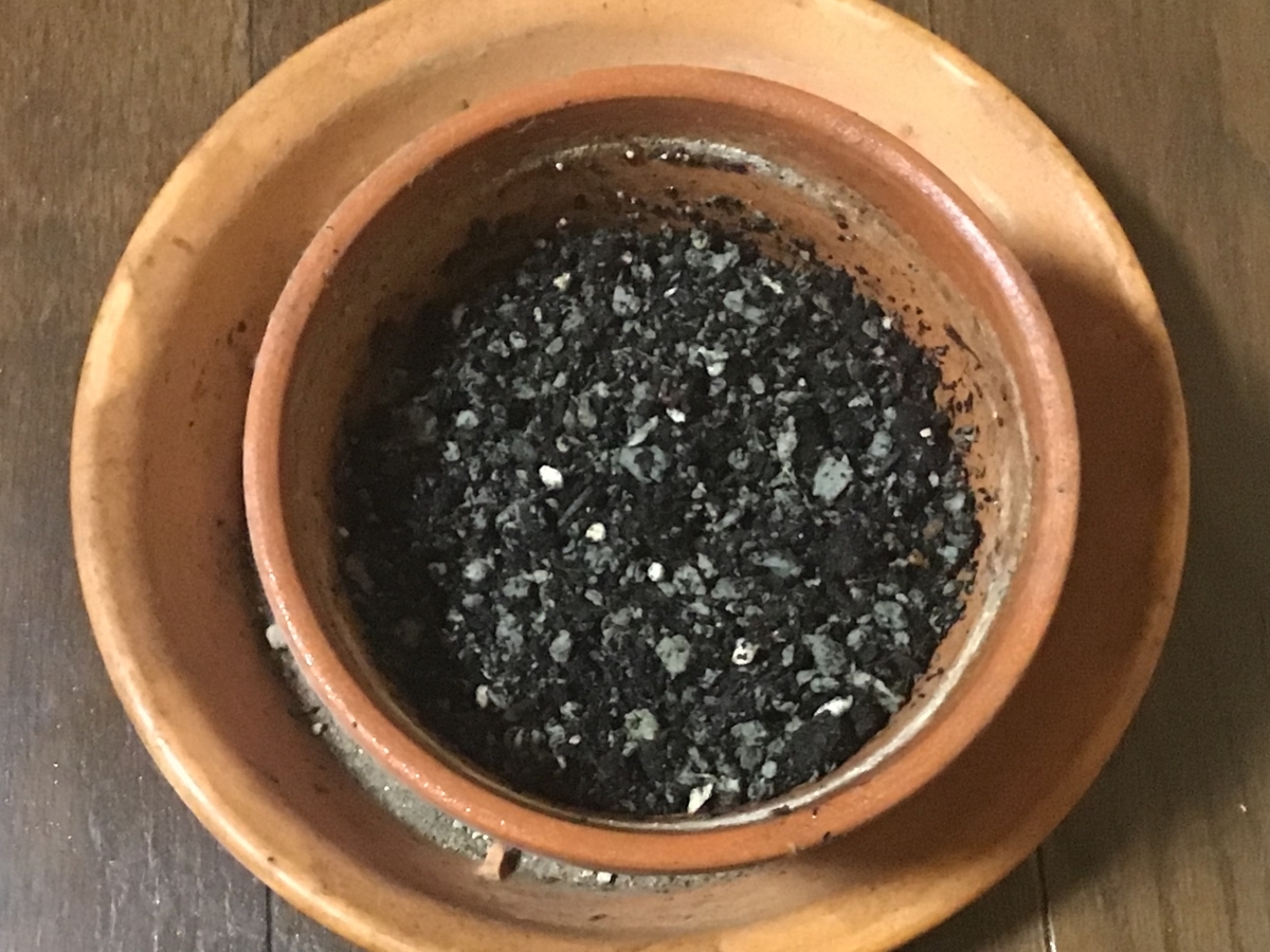 f:id:sanchan_neo:20191016211514j:plain f:id:sanchan_neo:20191016211514j:plain