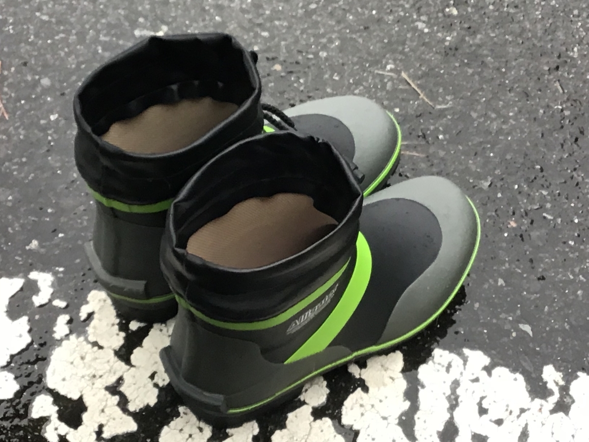 f:id:sanchan_neo:20191029185335j:plain