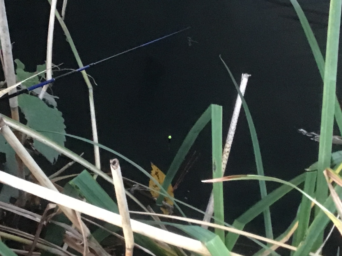 f:id:sanchan_neo:20191118204724j:plain f:id:sanchan_neo:20191118204724j:plain