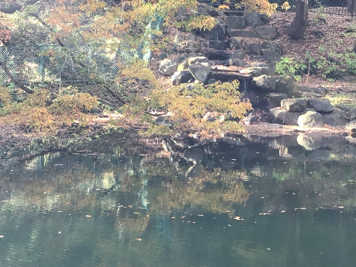 f:id:sanchan_neo:20191203130511j:plain