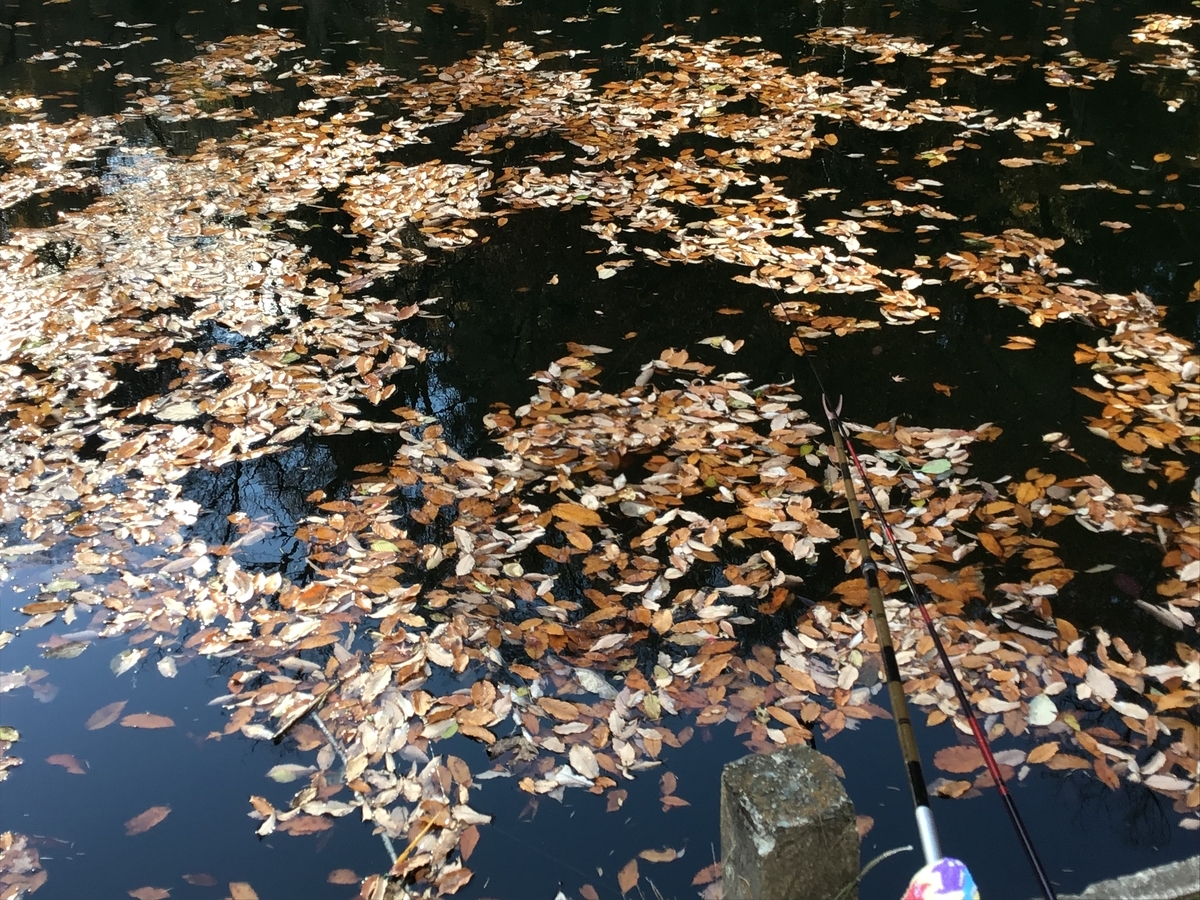 f:id:sanchan_neo:20191207084217j:plain