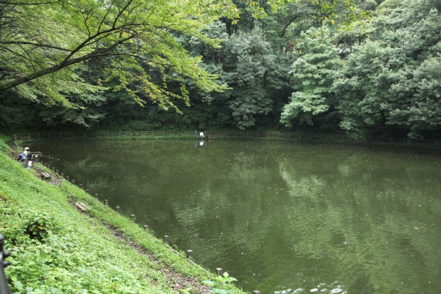 f:id:sanchan_neo:20200123210458j:plain f:id:sanchan_neo:20200123210458j:plain