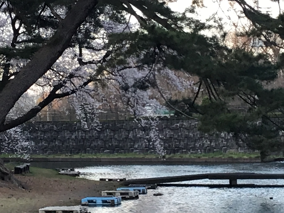 f:id:sanchan_neo:20200323212117j:plain