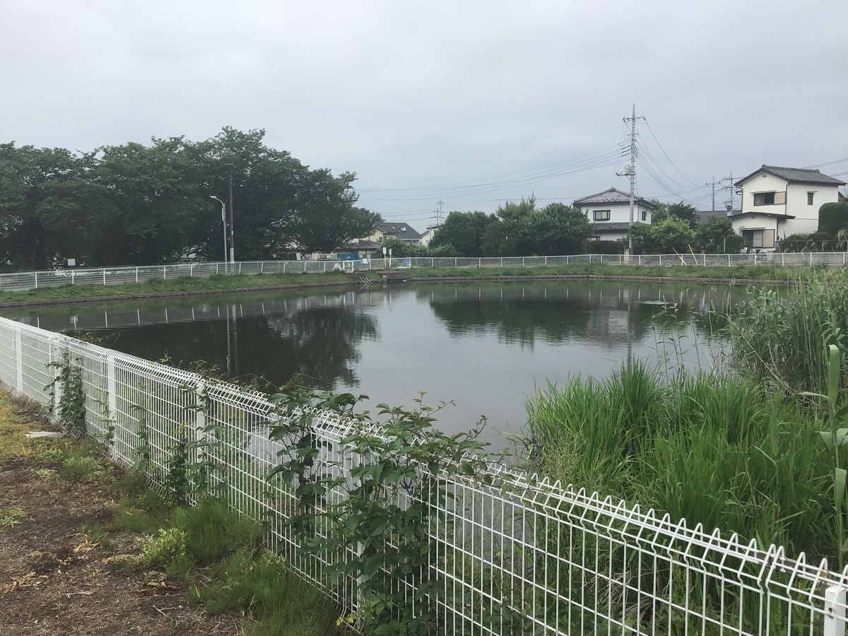 f:id:sanchan_neo:20200601213733j:plain