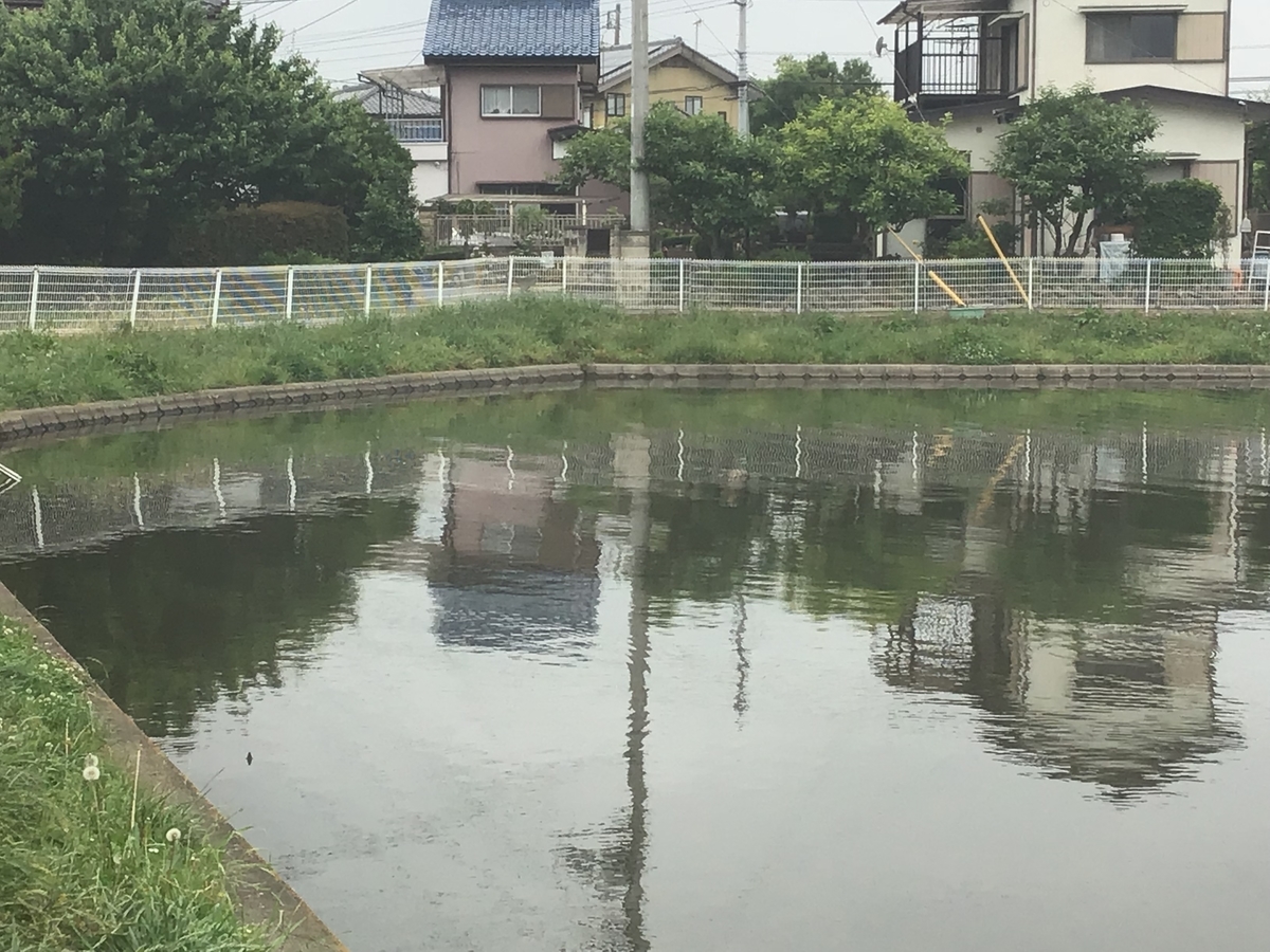 f:id:sanchan_neo:20200601214428j:plain