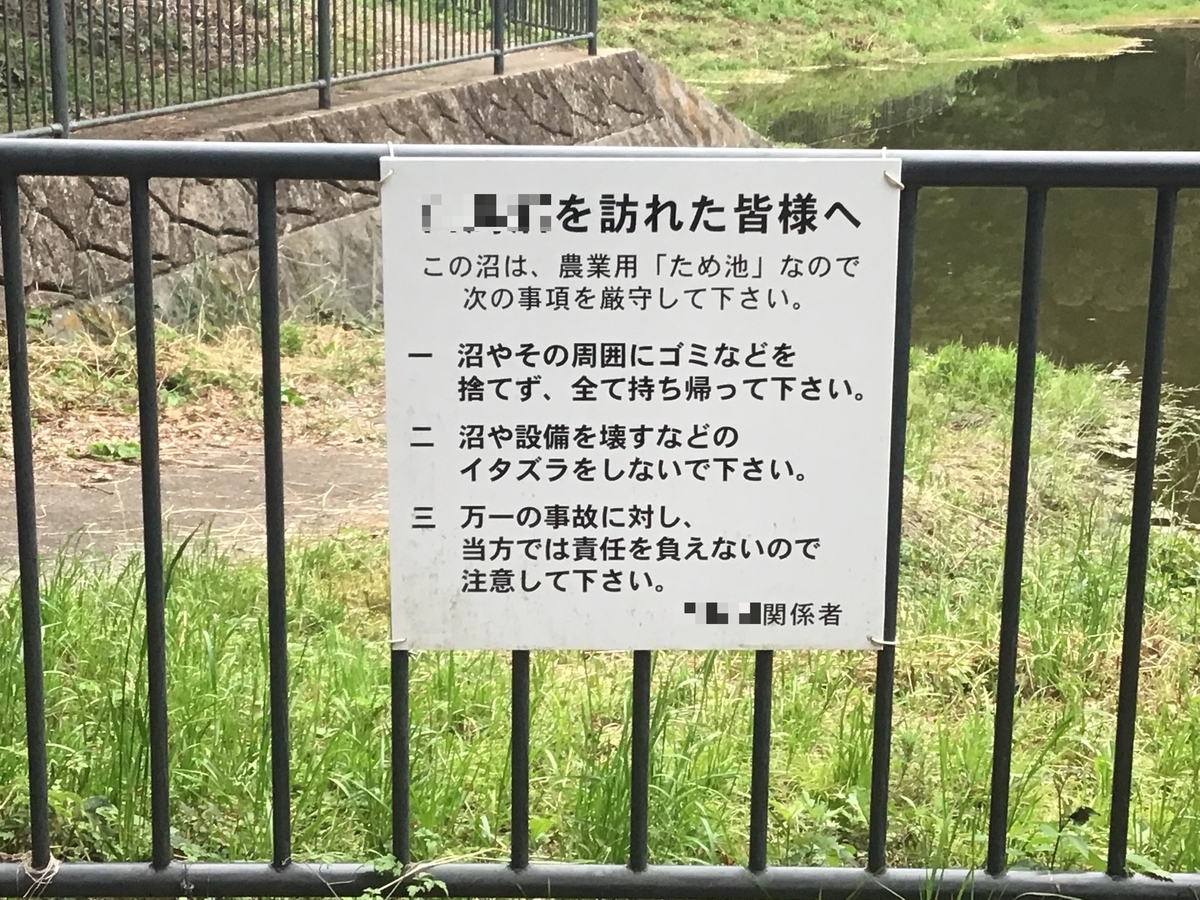 f:id:sanchan_neo:20200607144634j:plain f:id:sanchan_neo:20200607144634j:plain