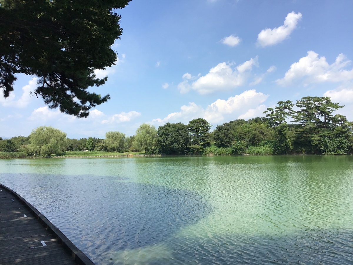 暑くてバテバテ O O バタッ サンちゃんの 秘密 の日記帳 暑くてバテバテ O O バタッ サンちゃんの 秘密 の日記帳