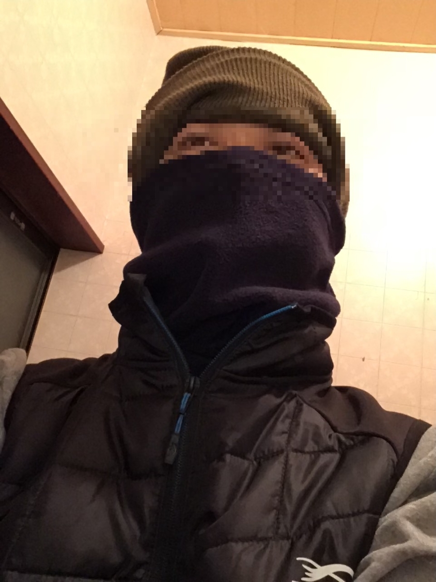 f:id:sanchan_neo:20201129201949j:plain