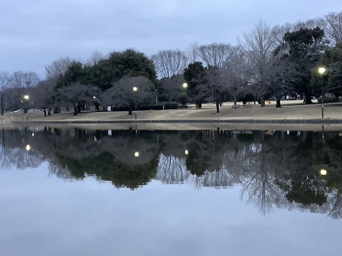 f:id:sanchan_neo:20210312193926j:plain