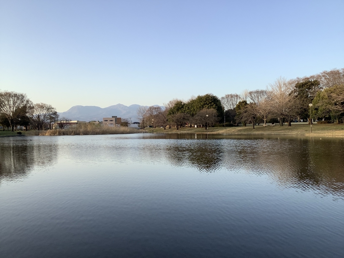 f:id:sanchan_neo:20210323205312j:plain