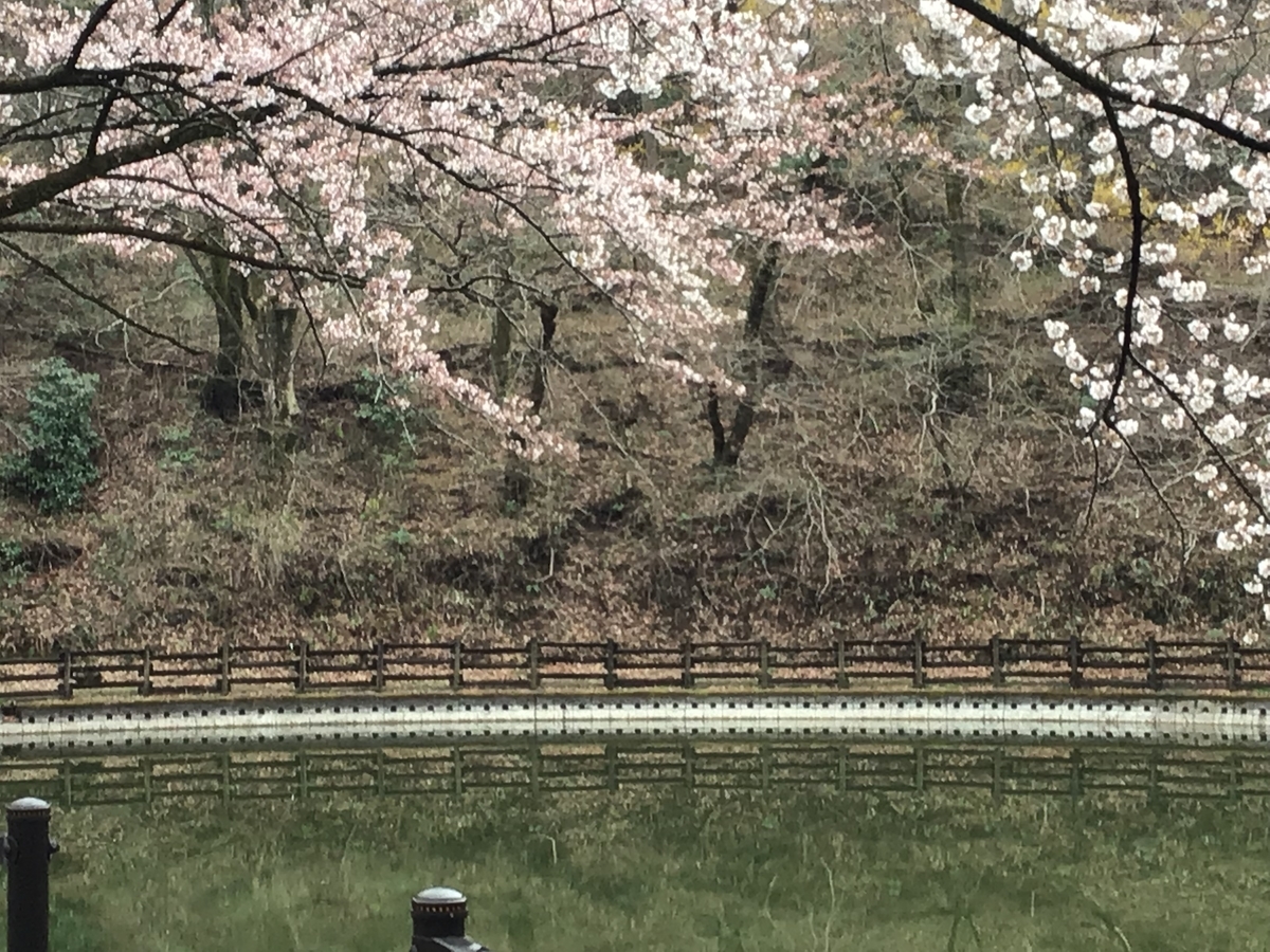 f:id:sanchan_neo:20210329213908j:plain