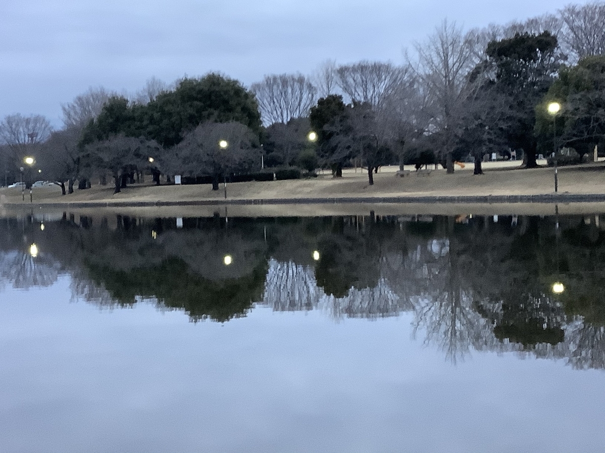 f:id:sanchan_neo:20210407220022j:plain