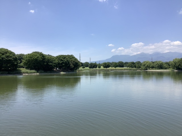 f:id:sanchan_neo:20210601122323j:plain