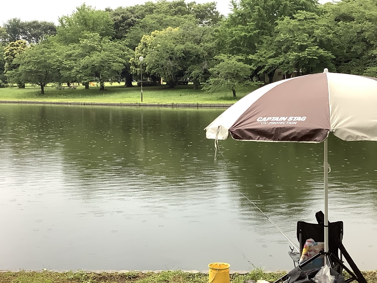 f:id:sanchan_neo:20210609204708j:plain