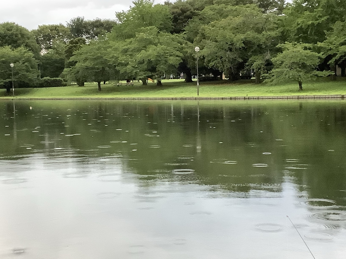 f:id:sanchan_neo:20210630201934j:plain